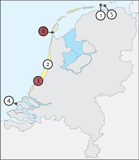 De kust: duinen, kwelders, wadden